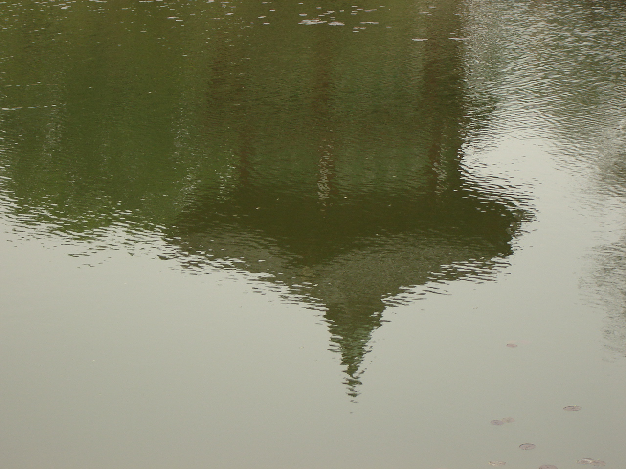 [DSC01142[1]]